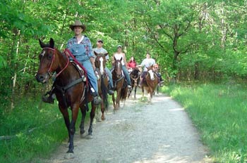 Trail Rides | Forest View Farms, horseback riding lessons ...