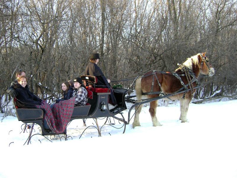 Enjoy a sleigh ride at Forest View Farms
